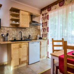 Отель Aparthotel Pod Nosalem Люкс фото 3