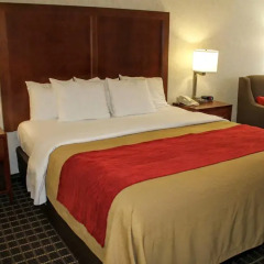 Отель Comfort Inn Near Old Town Pasadena комната для гостей фото 2