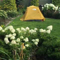 Отель Garden Camping Таллин фото 15