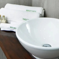 Terrace Green Hotel & Spa 4* Номер Делюкс с различными типами кроватей фото 7