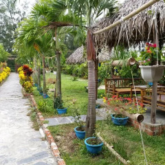 Отель Dragon Sea Homestay Хойан фото 29