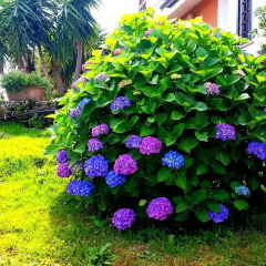 Отель Residenza Colle Oliva фото 2