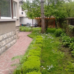 Отель Borova House Трявна фото 5
