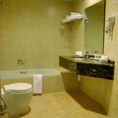 Отель ARYANA 4* Номер Бизнес с различными типами кроватей фото 7