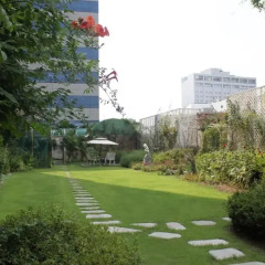 Отель Sejong Hotel Южная Корея, Сеул - отзывы, цены и фото номеров - забронировать отель Sejong Hotel онлайн фото 7