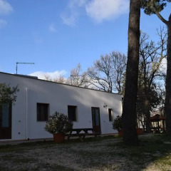 Отель Villaggio Camping Bosco Selva Альберобелло фото 7