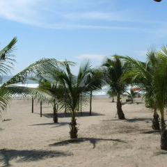 Отель Bungalos Sol Dorado 2* Вилла с различными типами кроватей фото 18