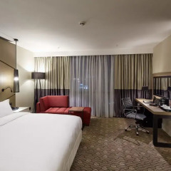 Pullman Istanbul Airport and Convention Center Hotel 4* Стандартный номер с различными типами кроватей фото 4