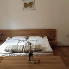Kolyovite Izvori Hotel 2* Стандартный номер с различными типами кроватей фото 6