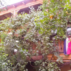 Отель Guest House Chez Ketevan Грузия, Тбилиси - отзывы, цены и фото номеров - забронировать отель Guest House Chez Ketevan онлайн