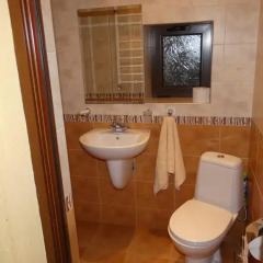 Отель Chepelare Holiday Guest House Чепеларе ванная