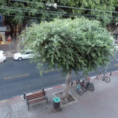 Отель Dizengoff Inn Тель-Авив парковка