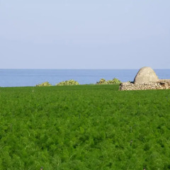 Отель B&B La Rosa Blu Бари пляж