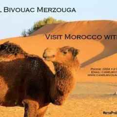 Отель Camel Bivouac Merzouga Марокко, Мерзуга - отзывы, цены и фото номеров - забронировать отель Camel Bivouac Merzouga онлайн с домашними животными