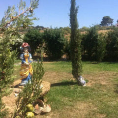 Отель Il Giardino di Athena Италия, Агридженто - отзывы, цены и фото номеров - забронировать отель Il Giardino di Athena онлайн детские мероприятия