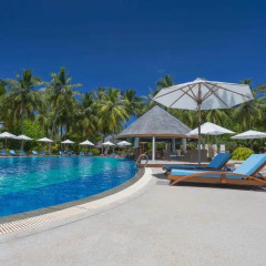 Отель Bandos Maldives бассейн