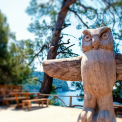 Отель Gemile Camping с домашними животными