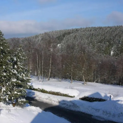 Отель Ferienzimmer im Oberharz спортивное сооружение