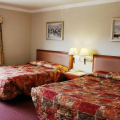 Metro Plaza Hotel 2* Стандартный номер с 2 отдельными кроватями фото 3