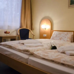 Hotel Zátiší Františkovy Lázně 3* Стандартный номер фото 7