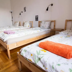 Pal's Hostel & Apartments Стандартный номер с различными типами кроватей фото 2