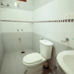 Отель Frangipani Motel 3* Номер Делюкс фото 6