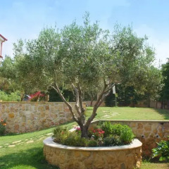 Отель Sofia Luxury Maisonettes Ситония фото 8