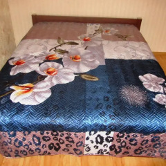 Гостиница Apartaments Rafieva в номере фото 2