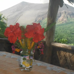 Отель volcano island paradise bungalows Отель volcano island paradise bungalows в Танна-Айленде