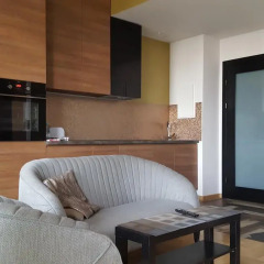 Апартаменты Chopin Apartments City Люкс