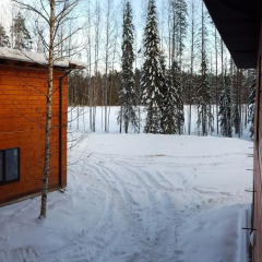 Гостиница Brusnika Village