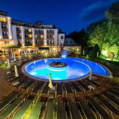 Lotus Therme Hotel & Spa Хевиз бассейн