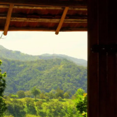 Отель Pepper Hills Cottages Номер Делюкс с различными типами кроватей фото 26