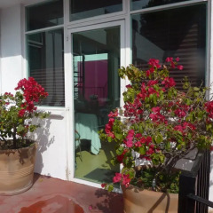 Апартаменты Sunflower Apartment near Coyoacan District Студия фото 4