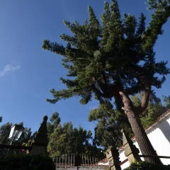 Отель Palacio Manco Capac by Ananay Hotels фото 8