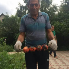 Гостиница Joy Day Hostel Казахстан, Нур-Султан - отзывы, цены и фото номеров - забронировать гостиницу Joy Day Hostel онлайн приотельная территория