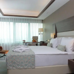 Bricks Airport Hotel Istanbul 3* Улучшенный номер с различными типами кроватей