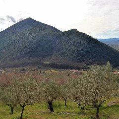 Отель L'Oliveto Сан-Никола-ла-Страда фото 12