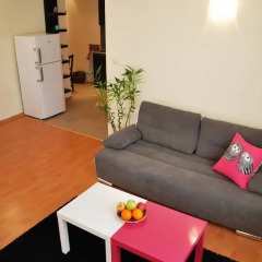 Апартаменты Belchev Downtown Apartment София комната для гостей фото 5
