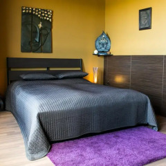 Апартаменты Balu Apartments Полулюкс с разными типами кроватей фото 4