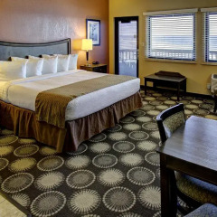 Отель Best Western Oceanfront - New Smyrna Beach 3* Стандартный номер с различными типами кроватей фото 4