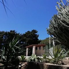 Отель Villa Magielan Сиракуза фото 3