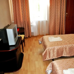 Elegia Hotel 3* Номер Эконом разные типы кроватей