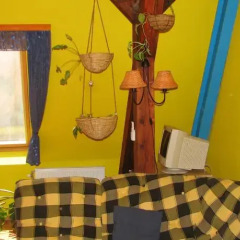 7x24 Central Hostel Будапешт бассейн