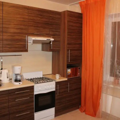 Гостиница Apartamenti na Vladimirskoy 7A в Пскове отзывы, цены и фото номеров - забронировать гостиницу Apartamenti na Vladimirskoy 7A онлайн Псков в номере фото 2