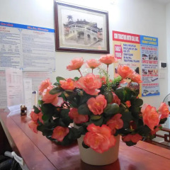 Отель The Sun Homestay интерьер отеля фото 2