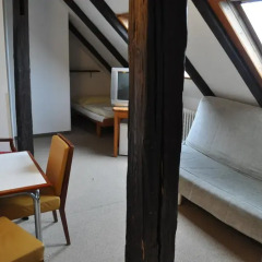Hotel Svornost 3* Стандартный номер с различными типами кроватей фото 16