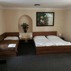 Апартаменты Apartments U Svejku Апартаменты с различными типами кроватей фото 3