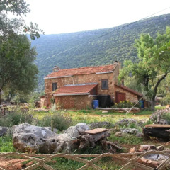 Hiker's Inn-Purple House Стандартный номер с различными типами кроватей