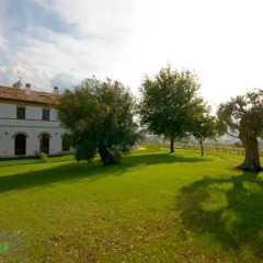 Отель Villa Coralia Озимо фото 4